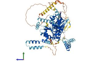 AlphaFold protein structure predicition of Mouse Recombinant Pals1 Protein, UniprotID Q9JLB2