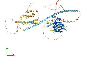 Protein Structure (PS) image for Kinesin Family Member C2 (KIFC2) (AA 1-838) protein (His tag) (ABIN7554375)