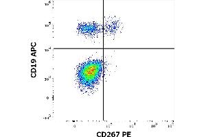 Flow cytometry multicolor surface staining of human lymphocytes stained using anti-human CD267 (1A1) PE antibody (10 μL reagent / 100 μL of peripheral whole blood) and anti-human CD19 (LT19) APC antibody (10 μL reagent / 100 μL of peripheral whole blood).