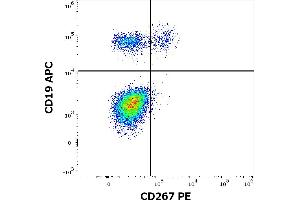 Flow cytometry multicolor surface staining of human lymphocytes stained using anti-human CD267 (1A1) PE antibody (10 μL reagent / 100 μL of peripheral whole blood) and anti-human CD19 (LT19) APC antibody (10 μL reagent / 100 μL of peripheral whole blood). (TACI 抗体  (PE))