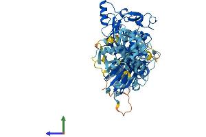 AlphaFold protein structure predicition of Mouse Recombinant Capn12 Protein, UniprotID Q9ER56