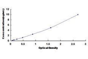 ELISA image for ATP-Binding Cassette, Sub-Family C (CFTR/MRP), Member 2 (ABCC2) ELISA Kit (ABIN419298)