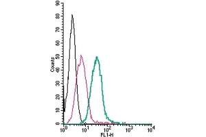 Cell surface detection of GPR35 by direct flow cytometry in live intact mouse J774 macrophage cells: (black line) Cells. (GPR35 抗体  (Extracellular) (FITC))