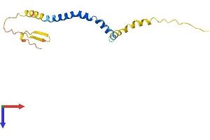 AlphaFold protein structure predicition of Human Recombinant TMEM78 Protein, UniprotID Q5T7P6 (TMEM78 Protein (AA 1-136) (His tag))