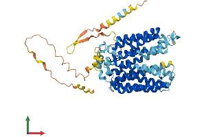 Protein Structure (PS) image for Solute Carrier Family 17 (Vesicular Glutamate Transporter), Member 7 (SLC17A7) (AA 1-560) protein (His tag) (ABIN7545083)