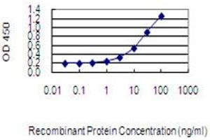 Detection limit for recombinant GST tagged MMP21 is 0. (MMP21 抗体  (AA 374-481))