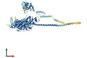 Protein Structure (PS) image for Myosin IB (MYO1B) (AA 1-1136) protein (His tag) (ABIN7554647)