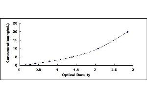 Typical standard curve (GCLC ELISA 试剂盒)