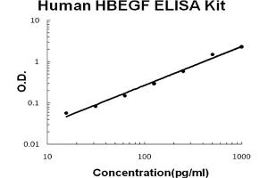 Human HBEGF Accusignal ELISA Kit Human HBEGF AccuSignal ELISA Kit standard curve.