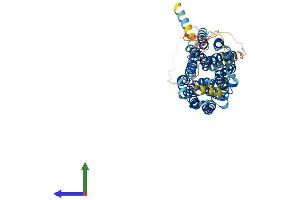 Protein Structure (PS) image for Solute Carrier Family 18 (Vesicular Monoamine Transporter), Member 2 (SLC18A2) (AA 1-514) protein (His tag) (ABIN7545059)