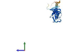 Protein Structure (PS) image for Killer Cell Lectin-Like Receptor, Subfamily A, Member 1 (KLRA1) (AA 1-262) protein (His tag) (ABIN7562953)