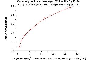 ELISA image for Cytotoxic T-Lymphocyte-Associated Protein 4 (CTLA4) (AA 37-160) (Active) protein (His tag) (ABIN2180926)
