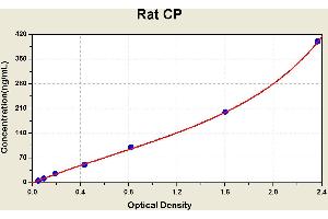 Diagramm of the ELISA kit to detect Rat CPwith the optical density on the x-axis and the concentration on the y-axis.