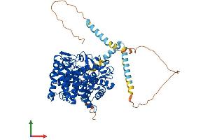 Protein Structure (PS) image for Mannosidase, Alpha, Class 1A, Member 1 (MAN1A1) (AA 1-653) protein (His tag) (ABIN7549290)
