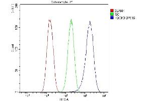 Flow Cytometry analysis of U87 cells using anti-HOOK3 antibody (ABIN6719547).