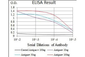 Image no. 2 for anti-Nuclear Receptor Subfamily 6, Group A, Member 1 (NR6A1) antibody (ABIN1491624)
