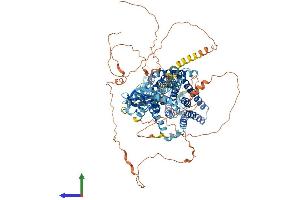 AlphaFold protein structure predicition of Mouse Recombinant Clcn1 Protein, UniprotID Q64347 (CLCN1 Protein (AA 1-994) (His tag))