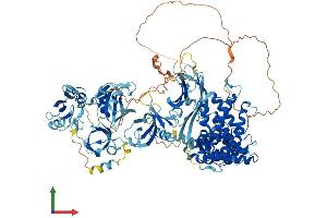 Protein Structure (PS) image for RAS P21 Protein Activator (GTPase Activating Protein) 1 (RASA1) (AA 1-1047) protein (His tag) (ABIN7555149)