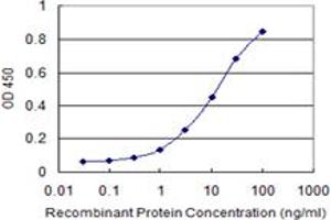 Detection limit for recombinant GST tagged RING1 is 0. (RING1 抗体  (AA 81-170))