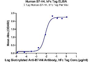 ELISA image for V-Set Domain Containing T Cell Activation Inhibitor 1 (VTCN1) (AA 29-258) protein (Fc Tag) (ABIN7273961)