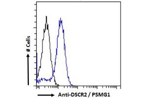 ABIN570956 Flow cytometric analysis of paraformaldehyde fixed Jurkat cells (blue line), permeabilized with 0. (PSMG1 抗体  (C-Term))