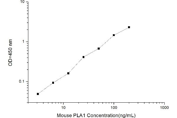 PLA1A ELISA 试剂盒