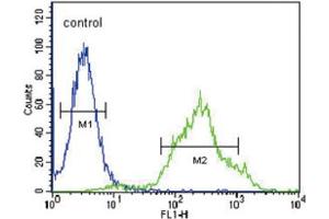 Flow Cytometric analysis of ZDHHC21 Antibody (N-term) 293 cells (right histogram) compared to a negative control cell (left histogram). (ZDHHC21 抗体  (AA 59-87))
