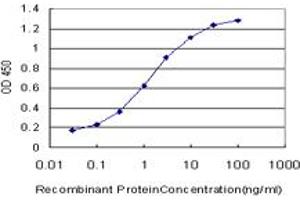 Detection limit for recombinant GST tagged LHX4 is approximately 0. (LHX4 抗体  (AA 208-306))