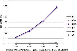 ELISA plate was coated with purified mouse IgG1, IgG2a, IgG2b, IgG3, IgM, and IgA. (山羊 anti-小鼠 IgG2b Antibody (Alkaline Phosphatase (AP)) - Preadsorbed)
