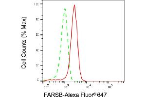 Flow cytometric analysis of FARSB expression in HepG2 cells using FARSB antibody (ABIN7799786), 1:1,000). (FARSB 抗体)