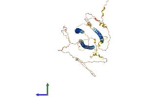 AlphaFold protein structure predicition of Human Recombinant N4BP3 Protein, UniprotID O15049 (N4BP3 Protein (AA 1-544) (His tag))