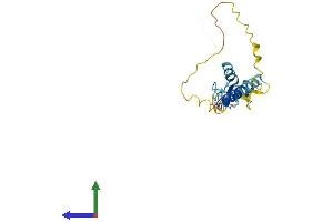 Protein Structure (PS) image for Ring Finger Protein 185 (RNF185) (AA 1-192) protein (His tag) (ABIN7551519)