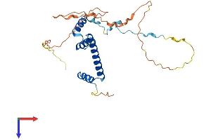 TAF9 Protein (AA 1-264) (His tag)