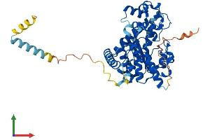 Protein Structure (PS) image for Galactose-3-O-Sulfotransferase 3 (GAL3ST3) (AA 1-431) protein (His tag) (ABIN7556582)