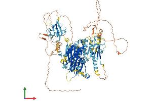 Protein Structure (PS) image for Inturned Planar Cell Polarity Effector Homolog (INTU) (AA 1-942) protein (His tag) (ABIN7554175)