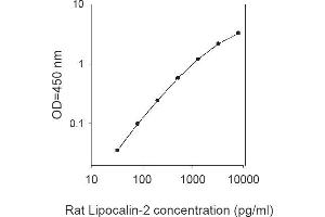 ELISA image for Lipocalin 2 (LCN2) ELISA Kit (ABIN1979397) (Lipocalin 2 ELISA 试剂盒)