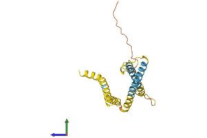 AlphaFold protein structure predicition of Human Recombinant TIMM23 Protein, UniprotID O14925