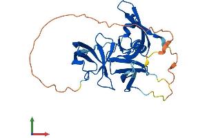Protein Structure (PS) image for Spindlin 1 (SPIN1) (AA 1-262) protein (His tag) (ABIN7557670)