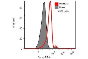 Flow cytometric analysis of FLT3 in K-562 cells with 5 ug/mL of FLT3 monoclonal antibody, clone BV10A4 . (FLT3 抗体)