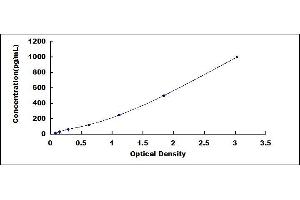 Typical standard curve (VEGFA ELISA 试剂盒)