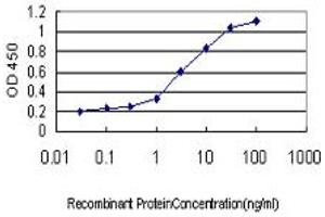 Detection limit for recombinant GST tagged APOL3 is approximately 0. (APOL3 抗体  (AA 240-336))