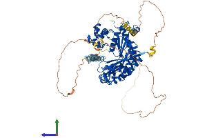 Protein Structure (PS) image for Polymerase (DNA Directed), eta (POLH) (AA 1-694) protein (His tag) (ABIN7565103)