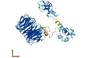 Protein Structure (PS) image for WD Repeat, Sterile alpha Motif and U-Box Domain Containing 1 (WDSUB1) (AA 1-476) protein (His tag) (ABIN7545196)