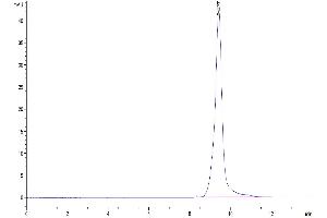 The purity of Human ULBP-2 is greater than 95 % as determined by SEC-HPLC. (ULBP2 Protein (AA 26-217) (His-Avi Tag))