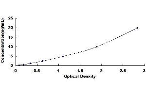 Typical standard curve (GPER ELISA 试剂盒)