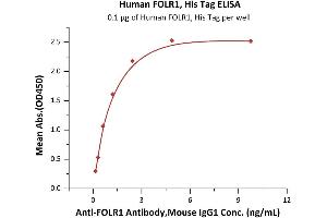 Immobilized Human FOLR1, His Tag (ABIN6951041,ABIN6952269) at 1 μg/mL (100 μL/well) can bind A Antibody,Mouse IgG1 with a linear range of 0.