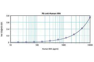 Image no. 4 for anti-Melanoma Inhibitory Activity (MIA) antibody (ABIN464851) (MIA 抗体)