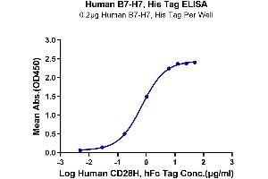 HHLA2 Protein (AA 23-344) (His tag)