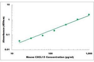 Representative Standard Curve (CXCL13 ELISA 试剂盒)