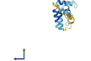 AlphaFold protein structure predicition of Human Recombinant PEA15 Protein, UniprotID Q15121